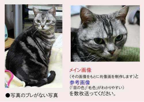 写真について